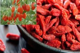 Trị chứng suy nhược cơ thể hiệu quả bằng thảo dược