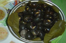 Cách làm ốc sạch nhanh, giảm nhớt
