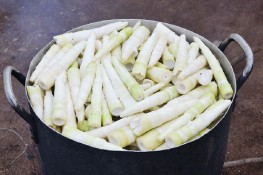 Cách khử độc măng tươi đơn giản, an toàn nhất