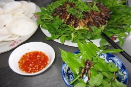 Món ngon từ... con dế