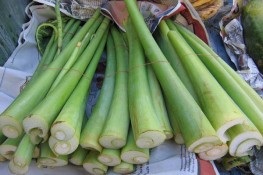 Dọc mùng - những điều cần biết