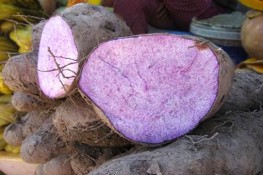 Tác dụng của khoai mỡ