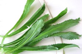 Chữa cảm cúm bằng mùi tàu