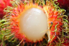 Mẹo hay chọn mua chôm chôm tươi ngon, mọng nước