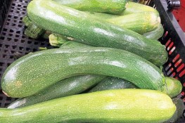 Công dụng tuyệt vời của bí ngòi
