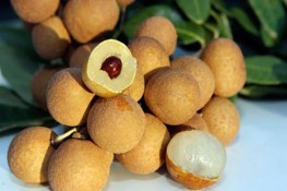 Những cách nhận biết nhãn lồng Hưng Yên