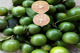 Mẹo giữ chanh tươi nguyên cả tháng