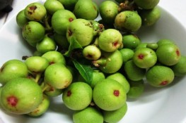 Ngăn ngừa bệnh ung thư bằng quả sung