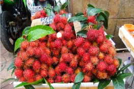 6 loại quả kỳ lạ nhất