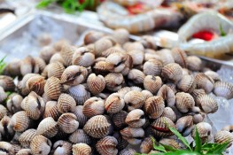 Mẹo chọn mua và làm sạch ngao, sò, ốc cho bữa cơm hè ngon lành