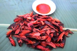 Lên Tây Bắc thưởng thức "mực rừng"