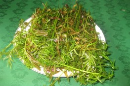 Đọt choại - món rau độc đáo