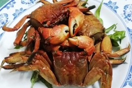 Yêu con ba khía