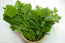 Những tác dụng bất ngờ của rau mồng tơi