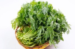 Gợi ý những bài thuốc hay từ cải cúc