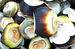 Những lợi ích của thốt nốt
