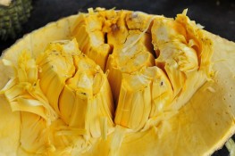 Những lợi ích của trái mít mà bạn không ngờ