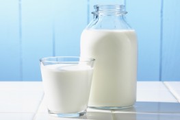 Lợi ích của sữa đối với não