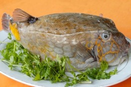 Thưởng thức "gà nước mặn"