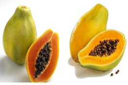 Mẹo nhận biết đu đủ chín tự nhiên không dùng thuốc