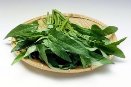 "Rau muống" cùng hiểm họa rình rập 