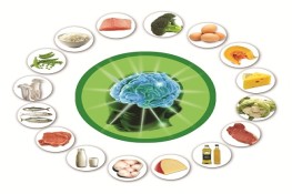 Những kiến thức về dinh dưỡng để sống khỏe mạnh mà ai cũng phải biết