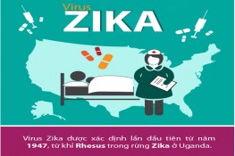 [Infographic] Những điều người Việt phải biết về virus 'ăn não' Zika