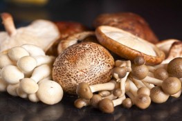 	Mẹo chọn hộp đựng thực phẩm an toàn	
