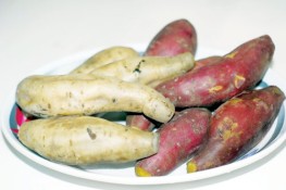 Bài thuốc trị tiểu đường bằng khoai lang