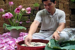 Trà sen Hồ Tây – Đỉnh cao nghệ thuật ẩm thực Hà Nội