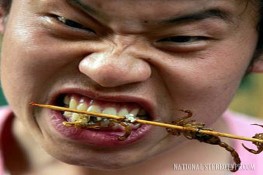 Những đặc sản không dễ nuốt trên đường du lịch