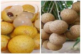 Mách chị em đi chợ chọn nhãn Hưng Yên "xịn"
