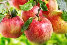 6 cách đơn giản loại bỏ hôi miệng nhanh chóng