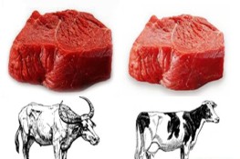 Ăn thịt bò hay thịt trâu tốt hơn?