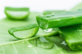 Những mẹo vặt khắc phục vấn đề trong mùa hè