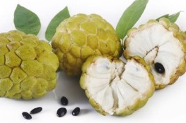 Dù có đắt mấy bạn cũng nên mua na về có cả nhà ăn