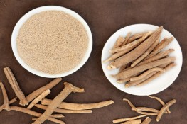 Thảo mộc quý chống lại các bệnh mùa mưa