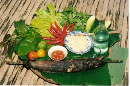 Đến Tây Nam Bộ thưởng thức các món nướng dân dã 