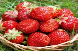 Những loại trái cây làm đẹp da