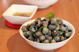 Ốc đá - món ngon của núi rừng 