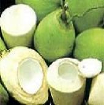 Sinh tố rau má và nước dừa giải nhiệt cuộc sống