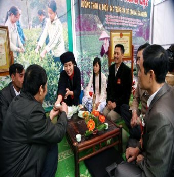 Các loại trà nổi tiếng