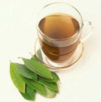 Chữa trúng Độc và tổn thương bằng trà