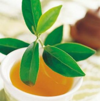 Trà xanh đồng hành cùng làn da của bạn