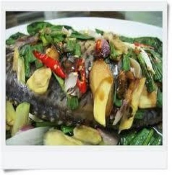 Gỏi cá hấp kiểu Nhật