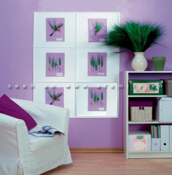 Trang trí tường bằng hoa khô