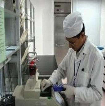 Việt Nam đã sản xuất được thực phẩm chức năng từ Vẹm xanh Perna Viridis