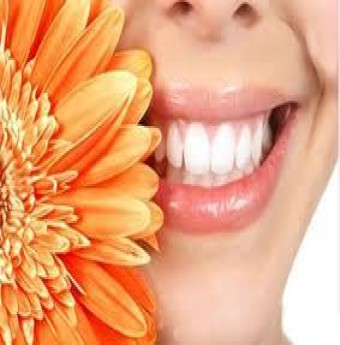Thực phẩm chức năng triết xuất từ diệp lục