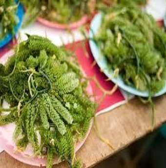 Thực phẩm chức năng từ biển