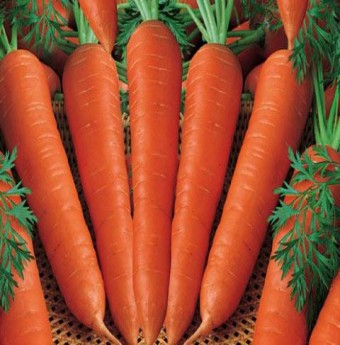 Cà rốt, cà chua khắc tinh của ung thư Phổi